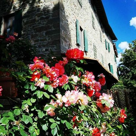 Podere I Rovai-Apt Il Rifugio- In The Heart Of Tuscany Реджело Екстериор снимка