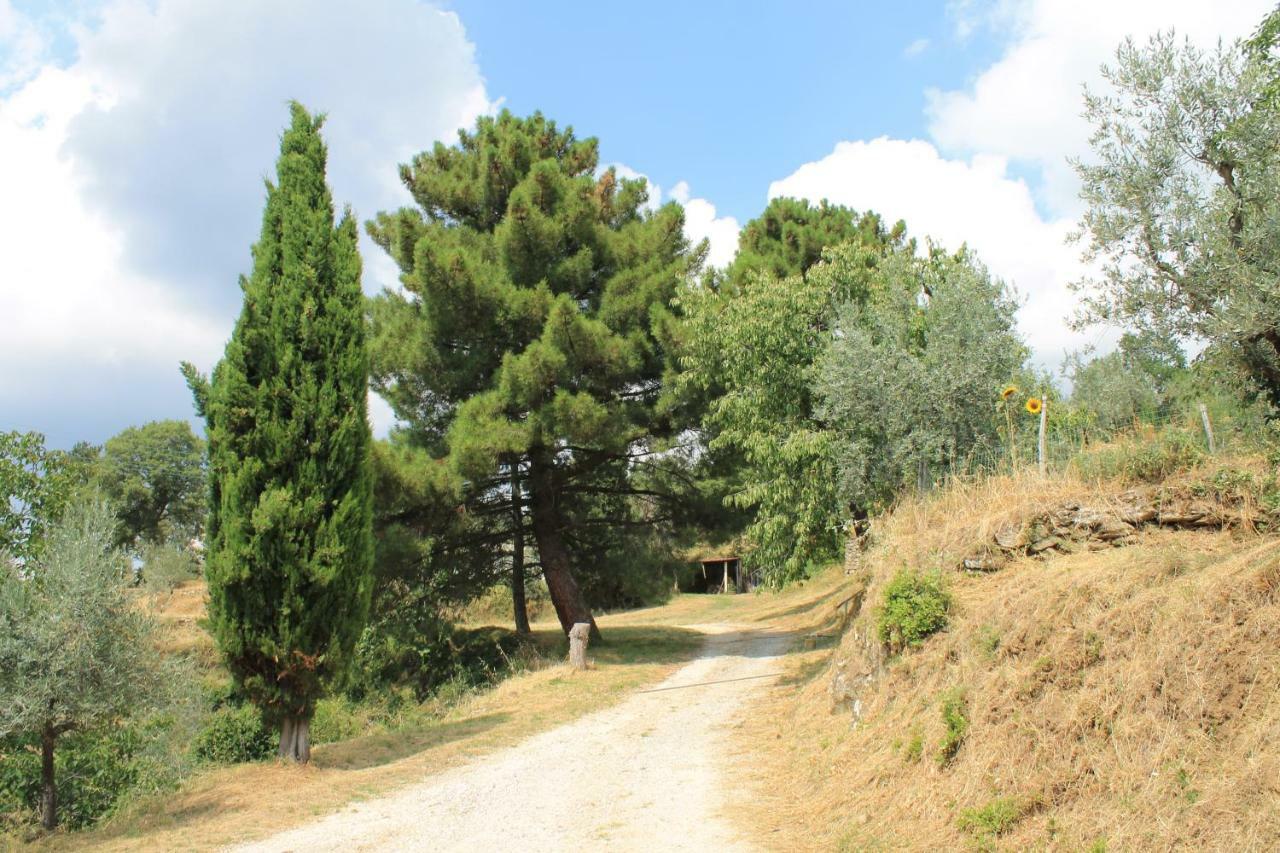 Podere I Rovai-Apt Il Rifugio- In The Heart Of Tuscany Реджело Екстериор снимка