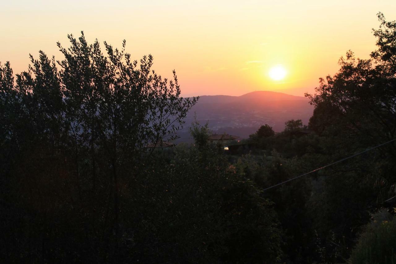 Podere I Rovai-Apt Il Rifugio- In The Heart Of Tuscany Реджело Екстериор снимка